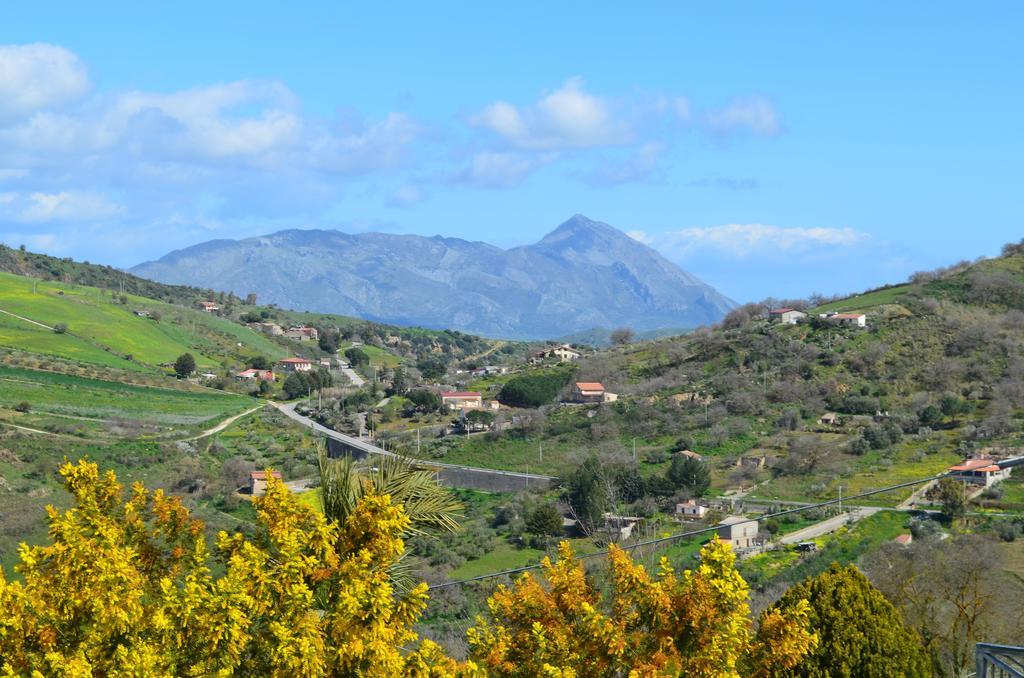 Villa Della Mimosa Alia ภายนอก รูปภาพ