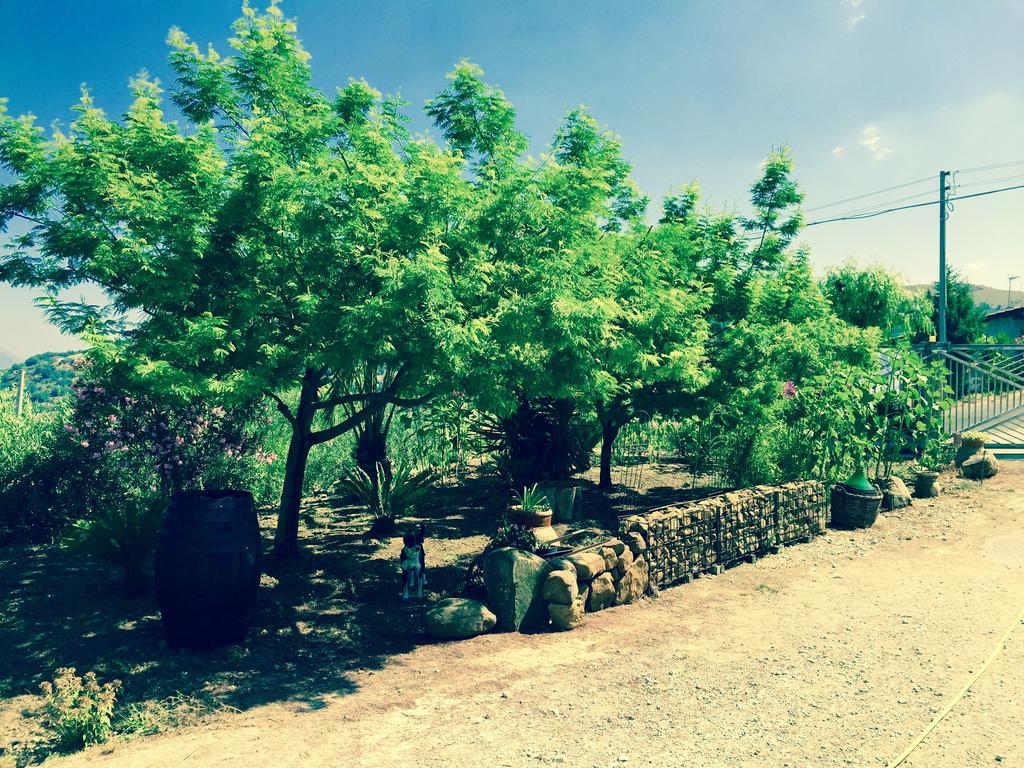 Villa Della Mimosa Alia ภายนอก รูปภาพ