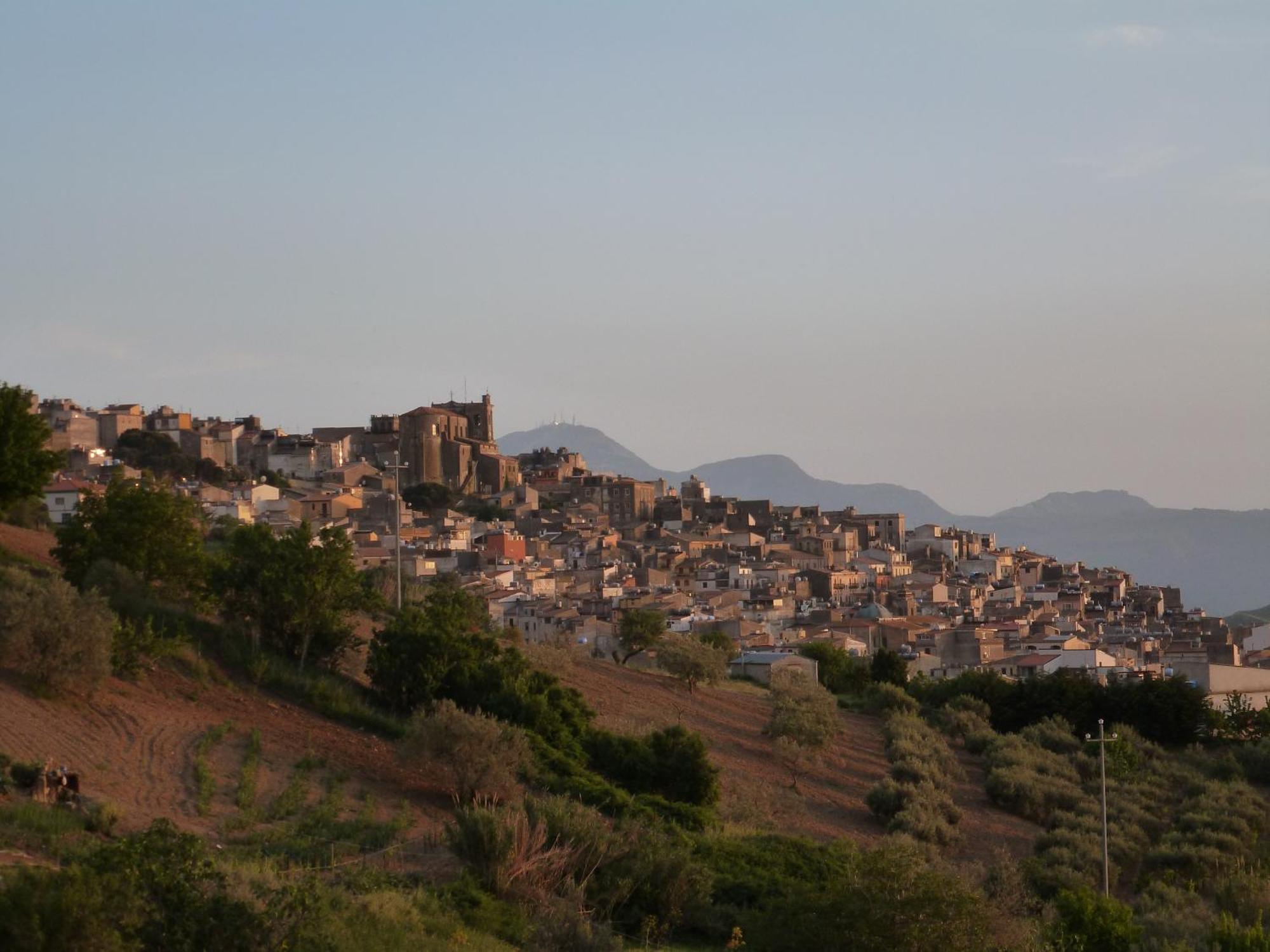 Villa Della Mimosa Alia ภายนอก รูปภาพ