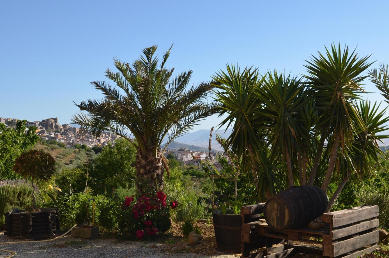 Villa Della Mimosa Alia ภายนอก รูปภาพ